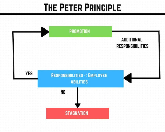 The Peter Principle - How Will It Affect Employee Performance?