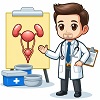 Urology Doctor Staffing Icon